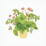 Variegated foliage potted plant cross stitch kit for beginners