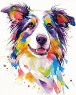Vibrant border collie watercolor paint by numbers kit for beginners