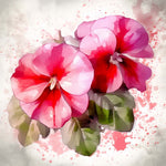Watercolor pink geranium flowers cross stitch kit for beginners